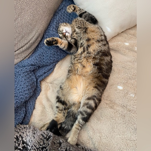 Meet your Posher, Jenna - Picture 2 of 2